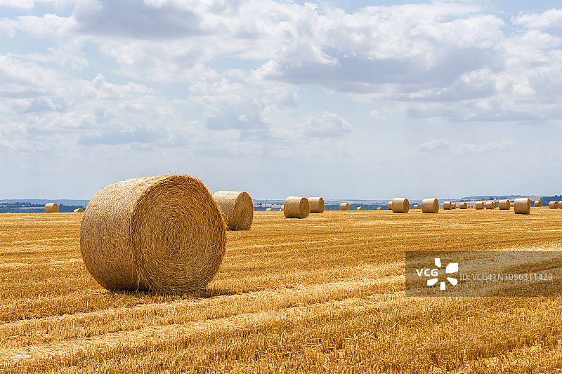 山东秸秆综合利用技术—饲料化