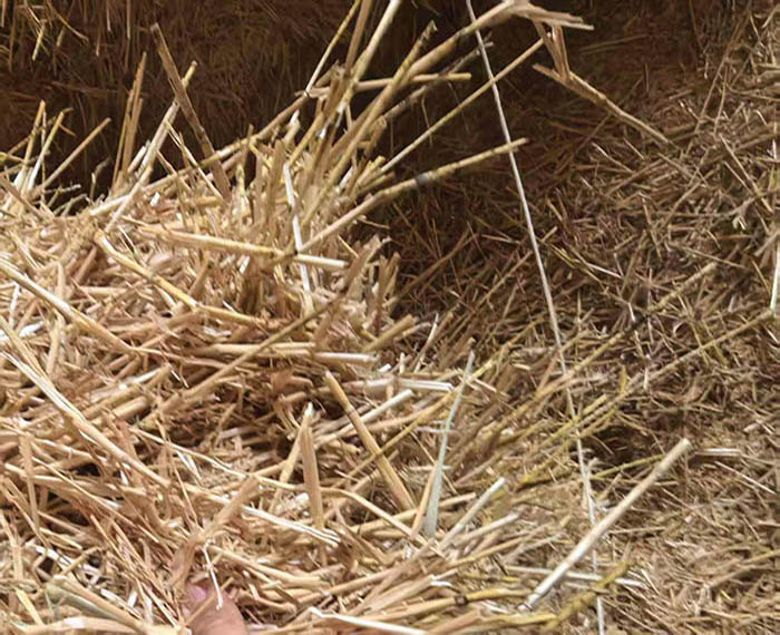 山东秸秆草料