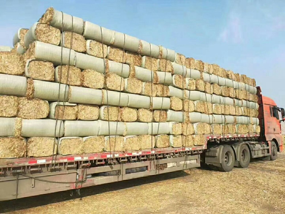 山东我国农作物秸秆饲料化利用技术